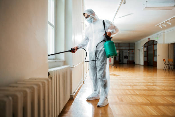 Best Fumigation Services  in Independence, VA